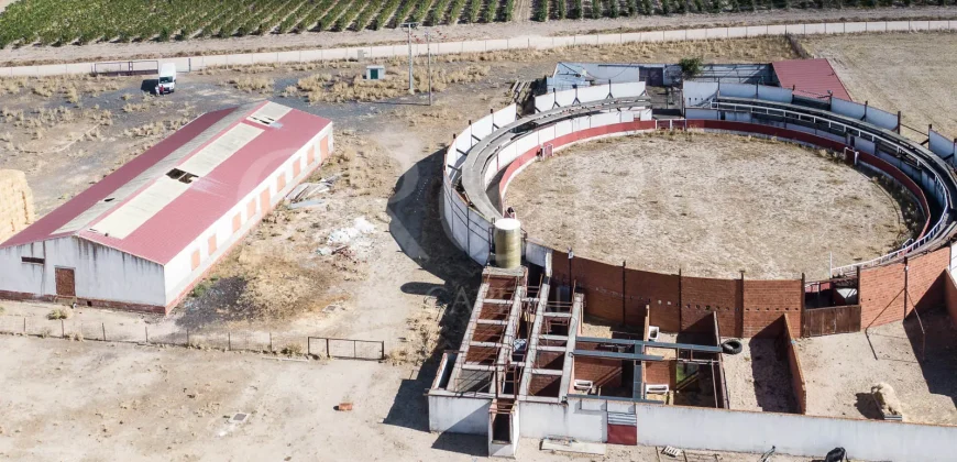 En venta finca para eventos taurinos y ocio rural entre Salamanca y Valladolid