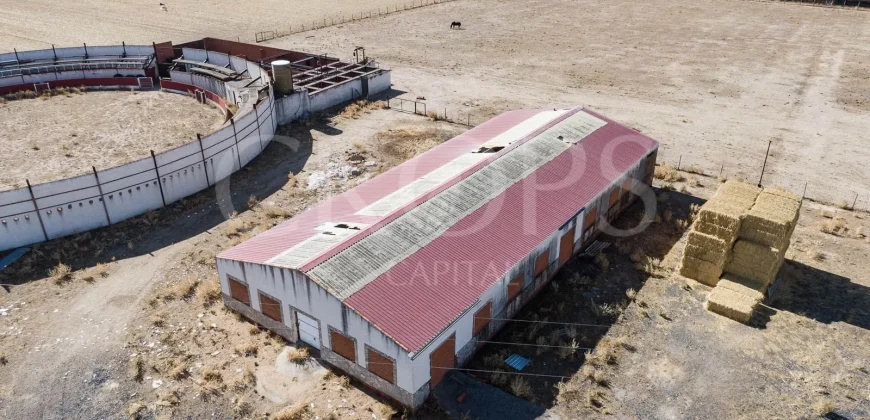 En venta finca para eventos taurinos y ocio rural entre Salamanca y Valladolid