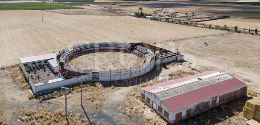 En venta finca para eventos taurinos y ocio rural entre Salamanca y Valladolid
