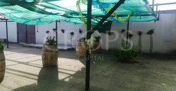En venta finca para eventos taurinos y ocio rural entre Salamanca y Valladolid