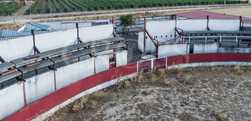 En venta finca para eventos taurinos y ocio rural entre Salamanca y Valladolid