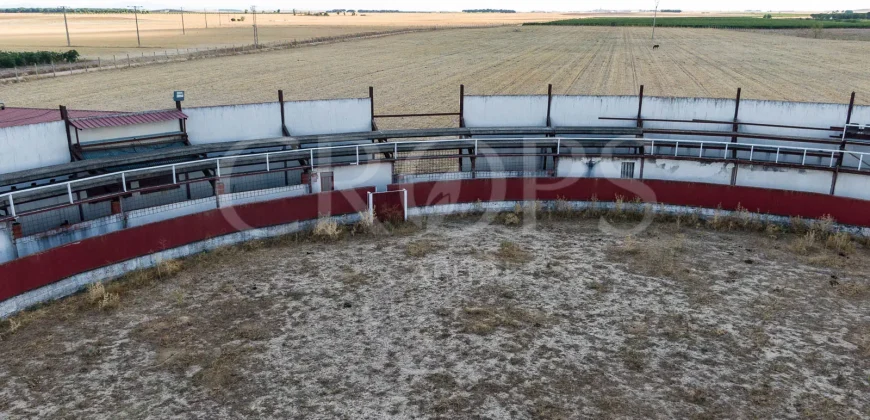 En venta finca para eventos taurinos y ocio rural entre Salamanca y Valladolid