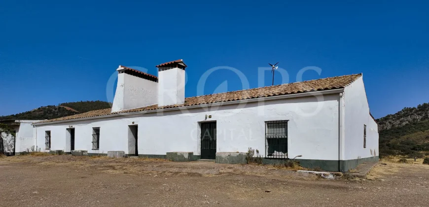Venta de finca ganadera en Los Baldíos (Badajoz)