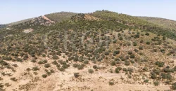 Venta de finca ganadera en Los Baldíos (Badajoz)