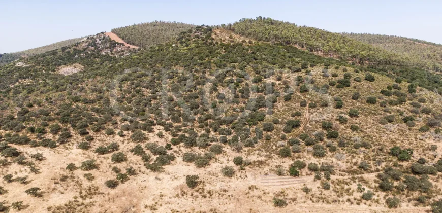 Venta de finca ganadera en Los Baldíos (Badajoz)