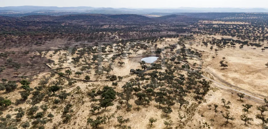 Venta de finca ganadera en Los Baldíos (Badajoz)