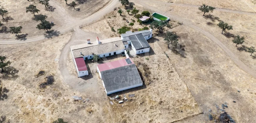 Venta de finca ganadera en Los Baldíos (Badajoz)