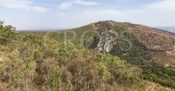 Venta de finca ganadera en Los Baldíos (Badajoz)