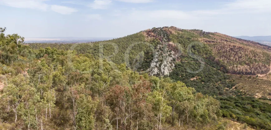 Venta de finca ganadera en Los Baldíos (Badajoz)