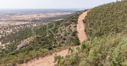 Venta de finca ganadera en Los Baldíos (Badajoz)