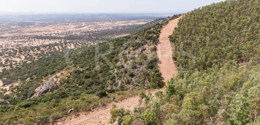 Venta de finca ganadera en Los Baldíos (Badajoz)