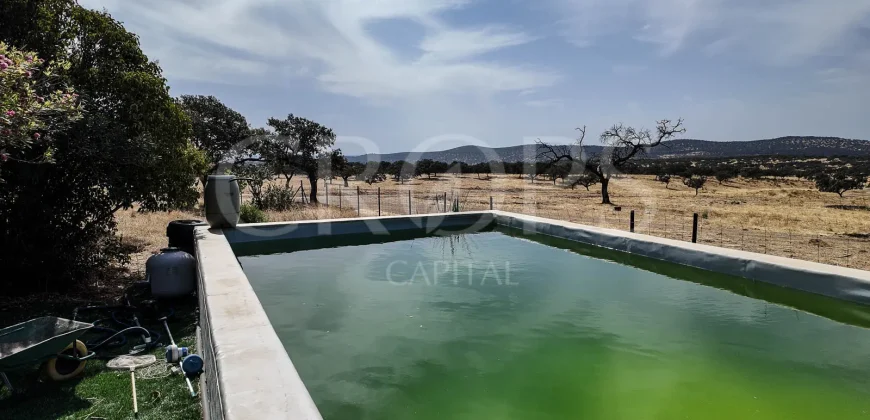 Venta de finca ganadera en Los Baldíos (Badajoz)