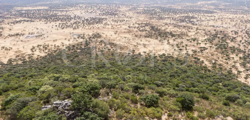 Venta de finca ganadera en Los Baldíos (Badajoz)