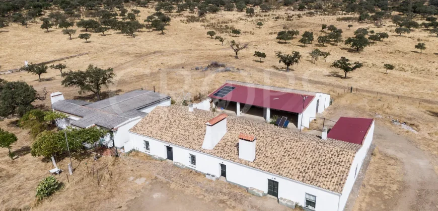 Venta de finca ganadera en Los Baldíos (Badajoz)