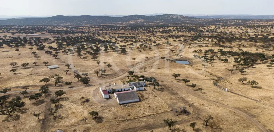 Venta de finca ganadera en Los Baldíos (Badajoz)