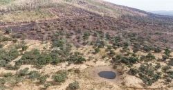 Venta de finca ganadera en Los Baldíos (Badajoz)