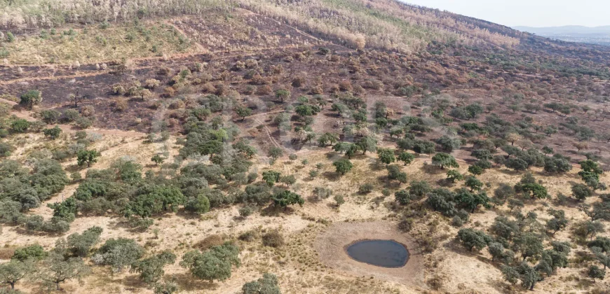 Venta de finca ganadera en Los Baldíos (Badajoz)