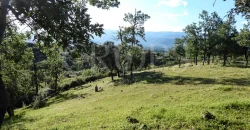 Venta de dehesa ganadera y de recreo en La Vera