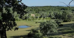 Venta de dehesa ganadera y de recreo en La Vera