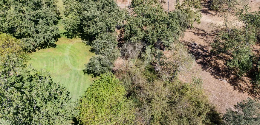 Venta de dehesa ganadera y de recreo en La Vera