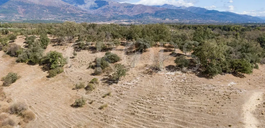 Venta de dehesa ganadera y de recreo en La Vera