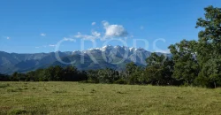 Venta de dehesa ganadera y de recreo en La Vera