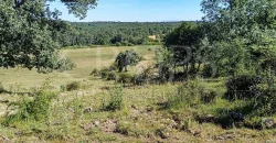 Venta de dehesa ganadera y de recreo en La Vera