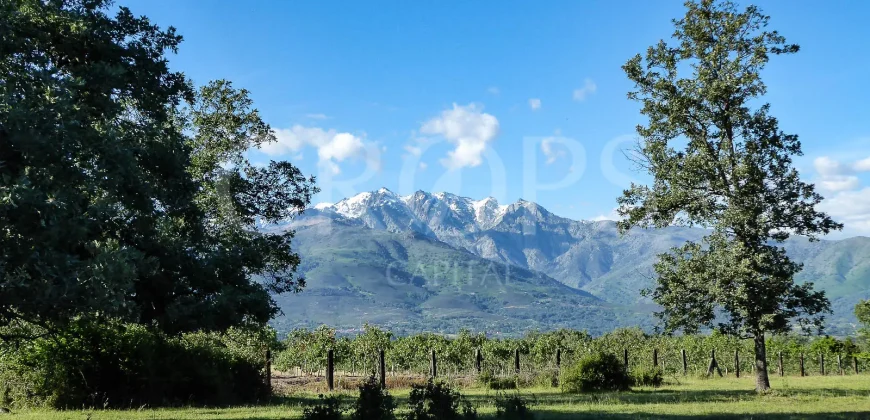 Venta de dehesa ganadera y de recreo en La Vera