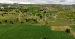 Finca ganadera en venta cerca de Madrid