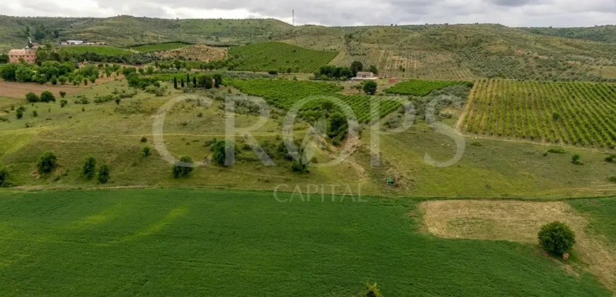Finca ganadera en venta cerca de Madrid
