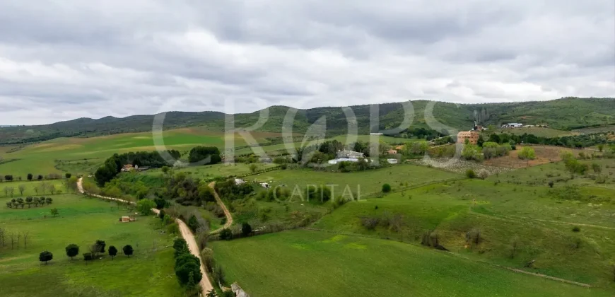 Finca ganadera en venta cerca de Madrid