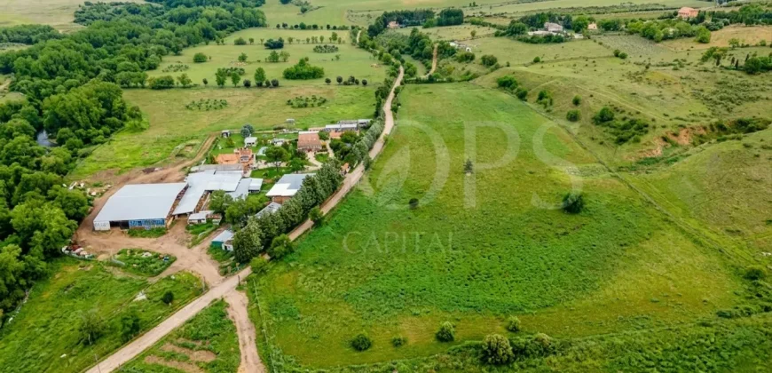 Finca ganadera en venta cerca de Madrid