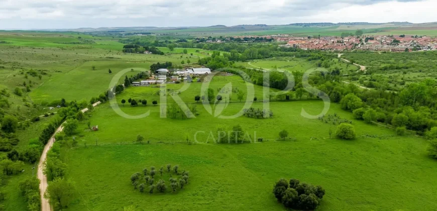 Finca ganadera en venta cerca de Madrid