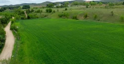 Finca ganadera en venta cerca de Madrid