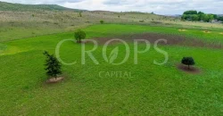 Finca ganadera en venta cerca de Madrid