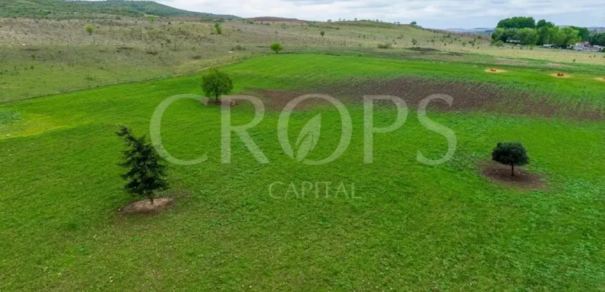 Finca ganadera en venta cerca de Madrid