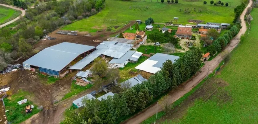 Finca ganadera en venta cerca de Madrid
