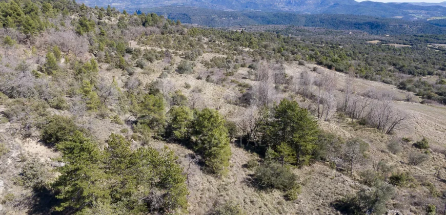 Pueblo abandonado con proyecto urbanístico aprobado en Prepirineo Aragonés.