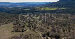 Pueblo abandonado con proyecto urbanístico aprobado en Prepirineo Aragonés.