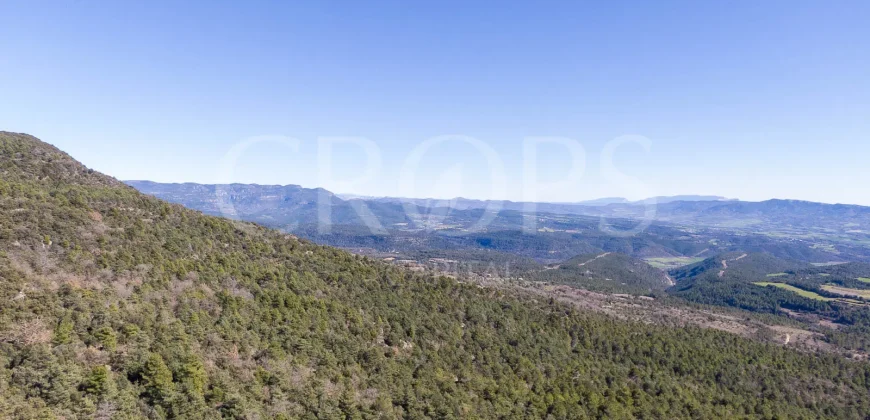 Pueblo abandonado con proyecto urbanístico aprobado en Prepirineo Aragonés.