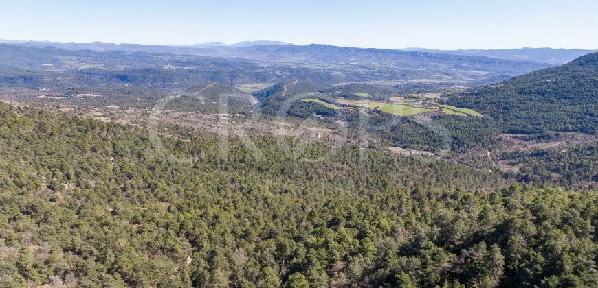 Pueblo abandonado con proyecto urbanístico aprobado en Prepirineo Aragonés.