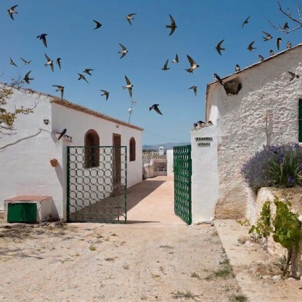 Más allá de la tierra: El compromiso de Crops Capital con la biodiversidad y el legado de SEO/BirdLife