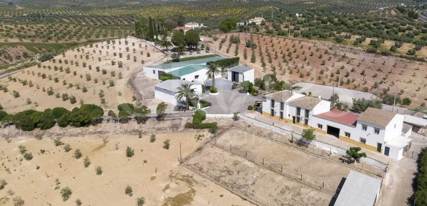 Finca residencial y ecuestre en venta cerca de Málaga
