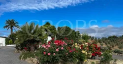 Finca residencial y ecuestre en venta cerca de Málaga