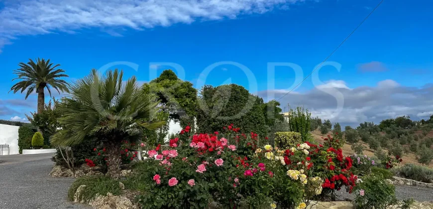 Finca residencial y ecuestre en venta cerca de Málaga